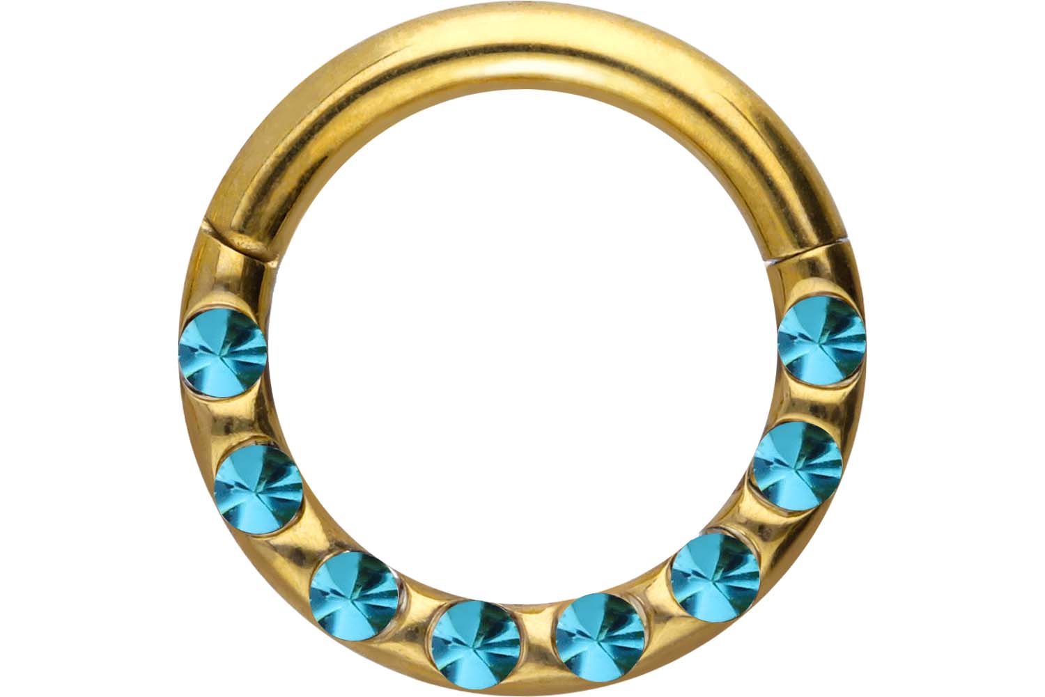 Chirurgenstahl Segmentring Clicker Piercing KRISTALLE + EPOXY ++SALE++